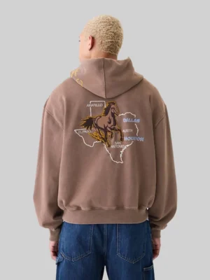 Gap Texas Hoodie