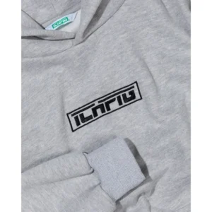 ICHPIG Hoodie